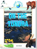 On the Tundra