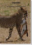 Geparden - Die schnellsten Landtiere der Welt