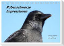 Rabenschwarze Impressionen - meike-ajo-dettlaff.de via wildvogelhlfe.org (Tischkalender 2024 DIN A5 quer), CALVENDO Monatskalender
