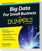 Big Data for Small Business for Dummies