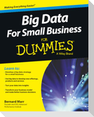 Big Data for Small Business for Dummies