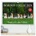 Border Collie 2024 (hochwertiger Premium Wandkalender 2024 DIN A2 quer), Kunstdruck in Hochglanz
