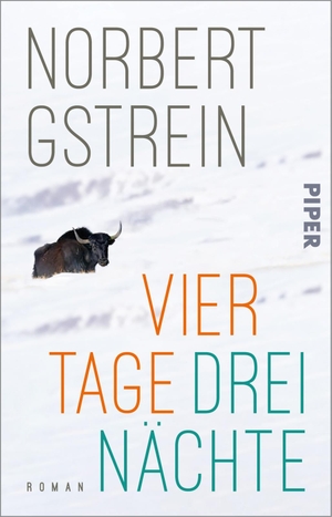 Gstrein, Norbert. Vier Tage, drei Nächte - Ein Kammerspiel über Rassismus und Misogynie. Piper Verlag GmbH, 2024.