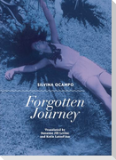 Forgotten Journey