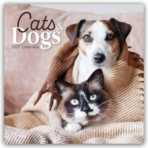 Gifted Stationery Co. Ltd. Cats and Dogs - Katzen und Hunde 2027 - 16-Monatskalender - Original Gifted Stationery-Kalender [Mehrsprachig] [Kalender]. Browntrout Verlags GmbH, 2026.