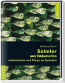 Salmler aus Südamerika
