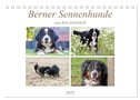 Berner Sennenhunde machen glücklich (Tischkalender 2025 DIN A5 quer), CALVENDO Monatskalender