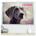 HUNDE-Chrakaterköpfe im Portrait (hochwertiger Premium Wandkalender 2025 DIN A2 quer), Kunstdruck in Hochglanz