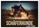 Schäferhunde und Ihre Vielfalt (Wandkalender 2024 DIN A2 quer), CALVENDO Monatskalender