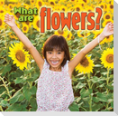 What Are Flowers?