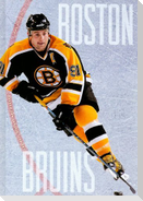 The Story of the Boston Bruins