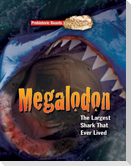 Megalodon
