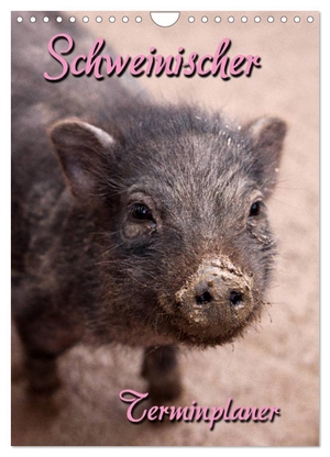 Berg, Martina. Schweinischer Terminplaner (Wandkalender 2024 DIN A4 hoch), CALVENDO Monatskalender - Terminplaner mit kleinen und großen Schweinen. Calvendo Verlag, 2023.
