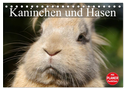 Kaninchen und Hasen (Tischkalender 2025 DIN A5 quer), CALVENDO Monatskalender