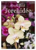 Miracle floral l'orchidée (Calendrier mural 2024 DIN A4 horizontal), CALVENDO calendrier mensuel