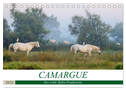 Camargue - Der wilde Süden Frankreichs (Tischkalender 2025 DIN A5 quer), CALVENDO Monatskalender