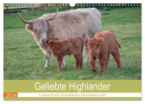 Sixt, Marion. Geliebte Highlander (Wandkalender 2024 DIN A3 quer), CALVENDO Monatskalender - Aktive Herde von Schottischen Hochlandrindern. Calvendo, 2023.