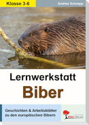Lernwerkstatt Biber