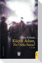 Kücük Adam, Ne Oldu Sana