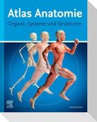 Atlas Anatomie