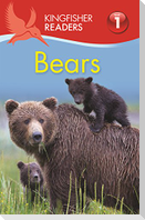 Bears