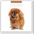 Pekingese - Pekinese - Peking Palasthund 2027 - 16-Monatskalender