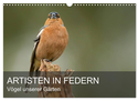 Artisten in Federn - Vögel unserer Gärten (Wandkalender 2024 DIN A3 quer), CALVENDO Monatskalender