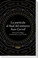 La partícula al final del universo : del bosón de Higgs al umbral de un nuevo mundo