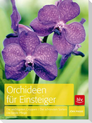 Orchideen für Einsteiger