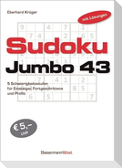 Sudokujumbo 43