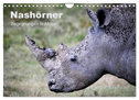 Nashörner - Begegnungen in Afrika (Wandkalender 2024 DIN A4 quer), CALVENDO Monatskalender