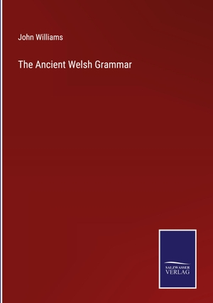 Williams, John. The Ancient Welsh Grammar. Salzwasser Verlag, 2023.