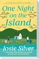 One Night on the Island