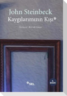 Kaygilarimizin Kisi