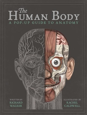 Walker, Richard. The Human Body - A Pop-Up Guide to Anatomy. Templar Books, 2018.