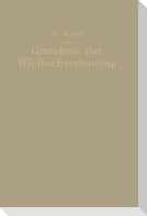 Grundriß der Wildbachverbauung