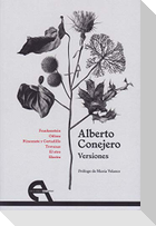 Versiones
