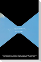 The Second Plane
