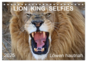 LION KING SELFIES Löwen hautnah (Tischkalender 2025 DIN A5 quer), CALVENDO Monatskalender