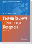Protein Reviews ¿ Purinergic Receptors