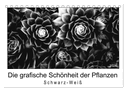 Die grafische Schönheit der Pflanzen ¿ Schwarz-Weiß (Tischkalender 2024 DIN A5 quer), CALVENDO Monatskalender