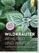 Wildkräuter im Herbst und Winter