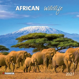 African Wildlife 2027 - Kalender 2027. Tushita PaperArt GmbH, 2026.