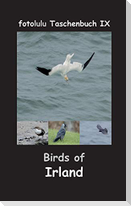 Birds of Irland