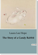 The Story of a Candy Rabbit