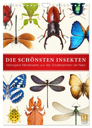 Art Print, Wildlife. Die schönsten Insekten (Wandkalender 2024 DIN A4 hoch), CALVENDO Monatskalender - Verborgene Meisterwerke aus den Schatzkammern der Natur. Calvendo, 2023.