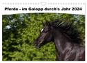 Pferde - im Galopp durch's Jahr 2024 (Wandkalender 2024 DIN A4 quer), CALVENDO Monatskalender