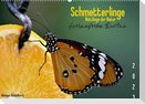 Schmetterlinge Nützlinge der Natur farbenfrohe Exoten (Wandkalender 2023 DIN A2 quer)