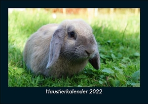 Tobias Becker. Haustierkalender 2022 Fotokalender DIN A5 - Monatskalender mit Bild-Motiven von Haustieren, Bauernhof, wilden Tieren und Raubtieren. Vero Kalender, 2022.