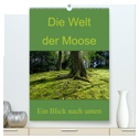 Die Welt der Moose. Ein Blick nach unten (hochwertiger Premium Wandkalender 2024 DIN A2 hoch), Kunstdruck in Hochglanz